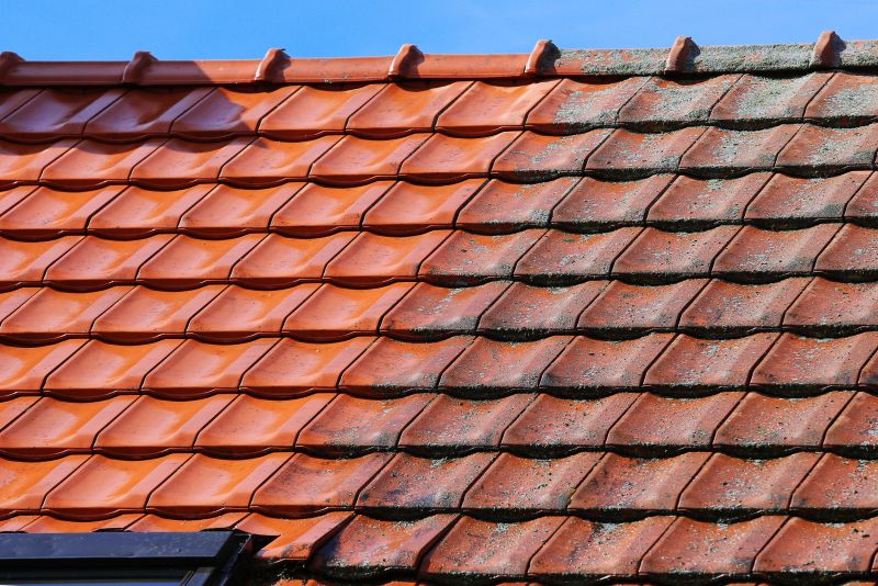 Roof Tile Sealing